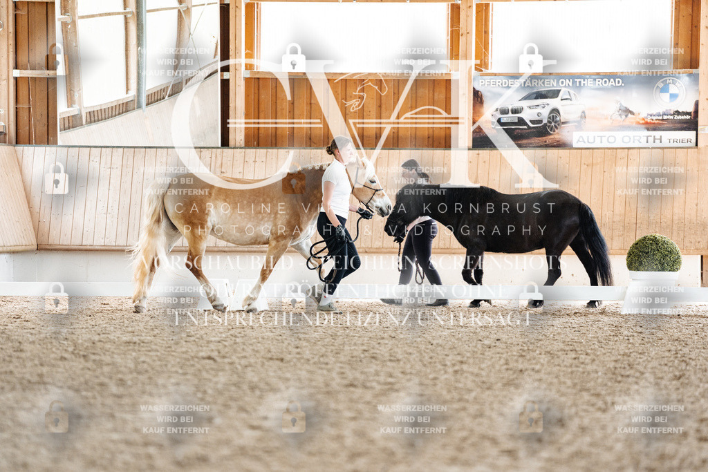 CK907897 | Turnierfotografie Pferdefotografie Trier Rheinland-Pfalz Pferdesport Reitsport Tierfotografie Sportfotografie Pferdevideo Pferdevideografie Equestrianvideography equestrianphotography  - Realisiert mit Pictrs.com