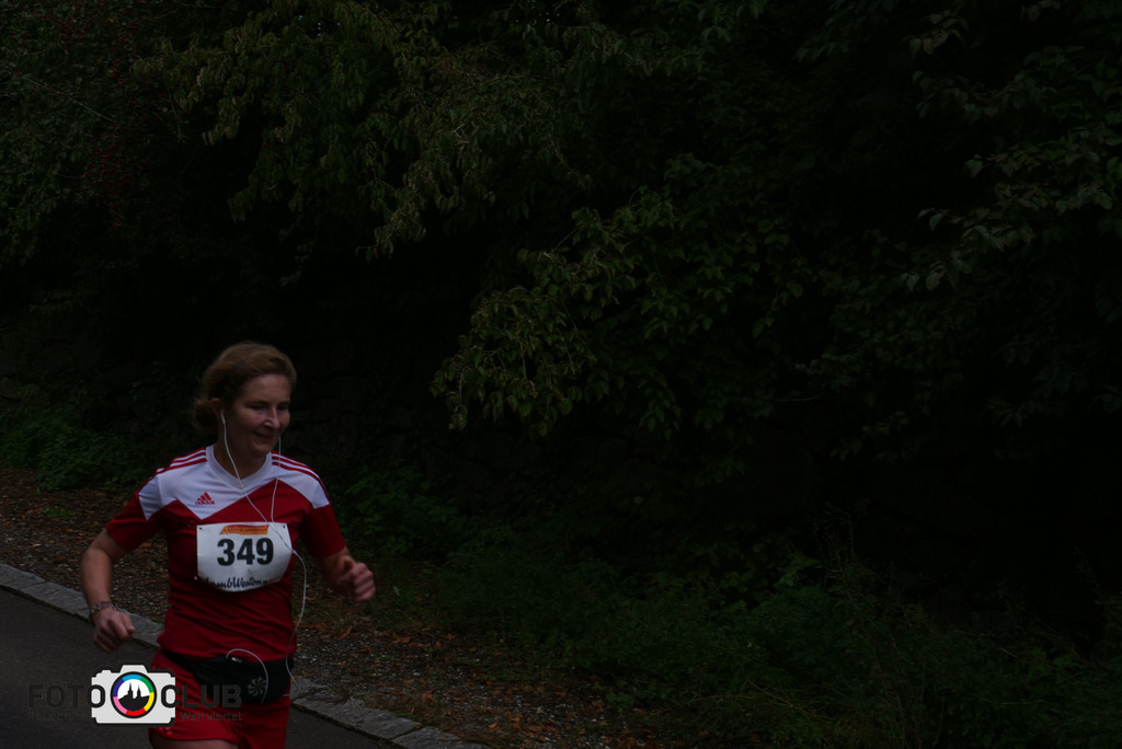 P1017234 | Foto Buchgraber