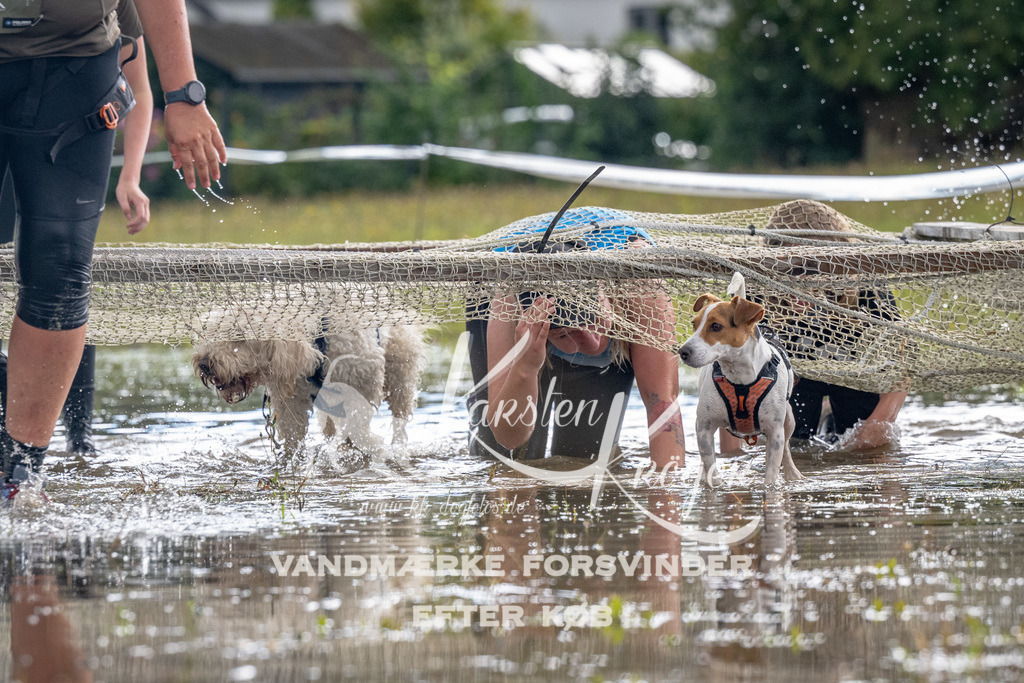 1358_ZZ90552 | kk-dogfotos