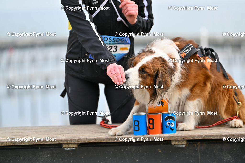 DSC_4227 | Hallo und herzlich Willkommen auf meiner Shop-Seite Fynn Most.

Ich wünsche Dir viel Spaß beim stöbern durch die Bilder, wenn Du Fragen hast oder Bilder vermisst, kannst du mir gerne eine Nachricht schreiben. - Realisiert mit Pictrs.com