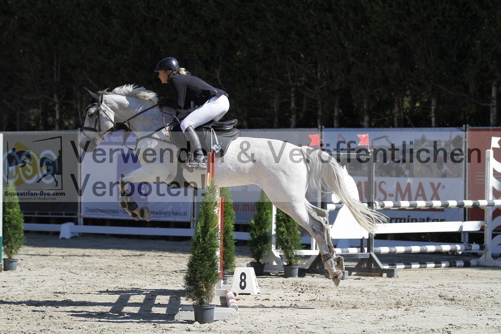 _MG_4423 | equestrian-live-com