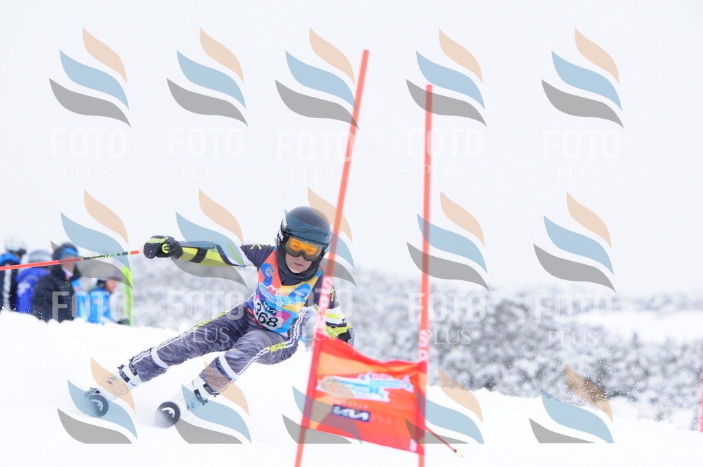 C3932 | holidayphoto