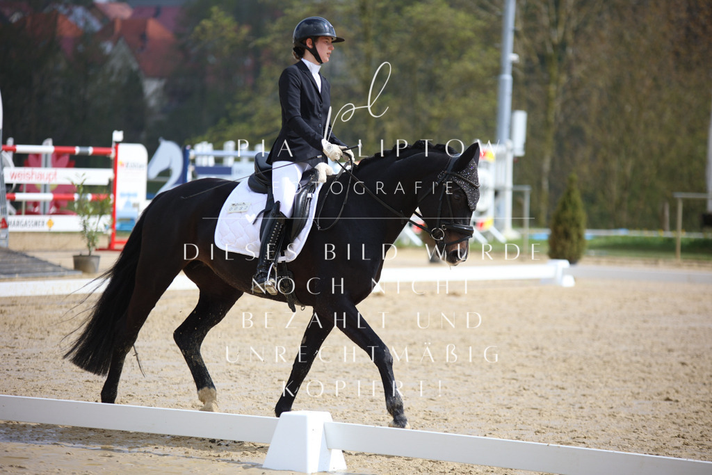 IMGT3710 | pl-fotografie