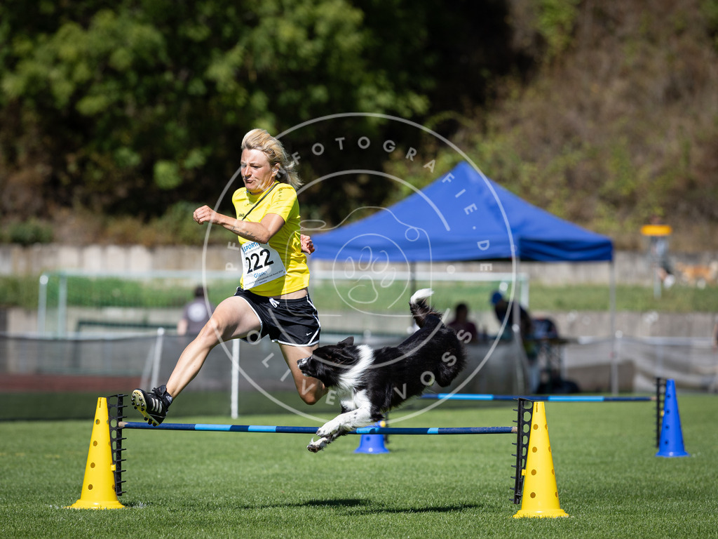 Pfotenfotografie_DV3A5466 | Hundefotografie, Tierfotograf, Pfotenfotografie, Fotoshooting Hund, Hunde Portrait, Hundesport, Hundeportraits, Heideshooting, Hunde, Sportfotograf, Hundefotograf, Turnierhundsport, THS,  - Realisiert mit Pictrs.com