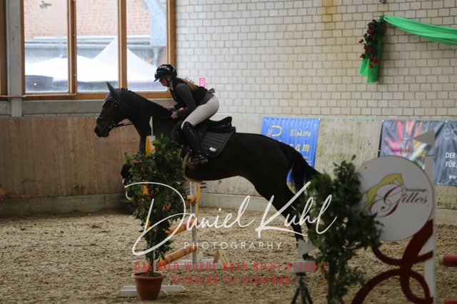 IMG_0613 | Turnierfotos kaufen im Webshop von Daniel Kuhl Photography – entdecke professionelle Reitsportfotos aus Turnieren & Events. Hochwertige Turnierbilder online bestellen & sichern. Jetzt Fotos von Reitsportturnieren kaufen!