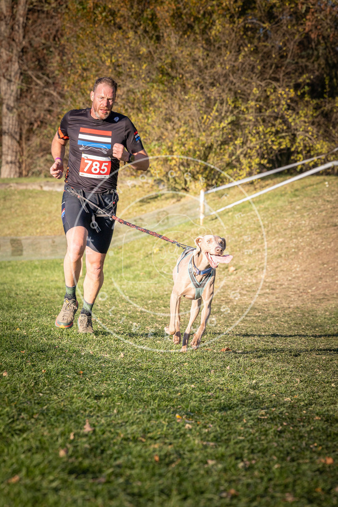CaniXpix_0L8A0295 | Hundefotografie, Tierfotograf, Pfotenfotografie, Fotoshooting Hund, Hunde Portrait, Hundesport, Hundeportraits, Heideshooting, Hunde, Sportfotograf, Hundefotograf, Turnierhundsport, THS,  - Realisiert mit Pictrs.com