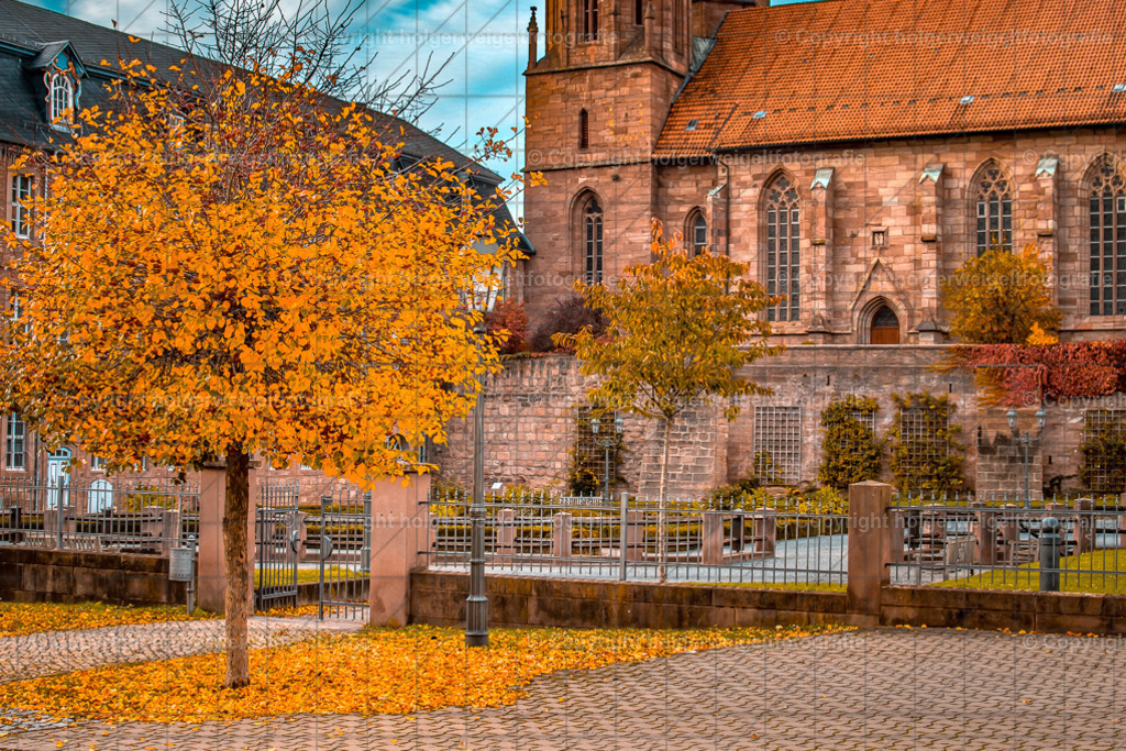 20251019170554D75_8905 | Kaufen sie online außergewöhnliche Fotografien auf Leinwand Acrylglas Fotoprint Aludibond von holgerweigeltfotografie - Realisiert mit Pictrs.com
