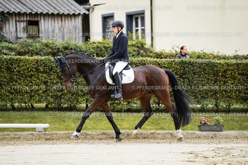 DSC04907 | Pferdegrafie