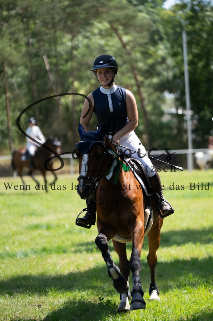 A7V06162 | Pferdefotograf