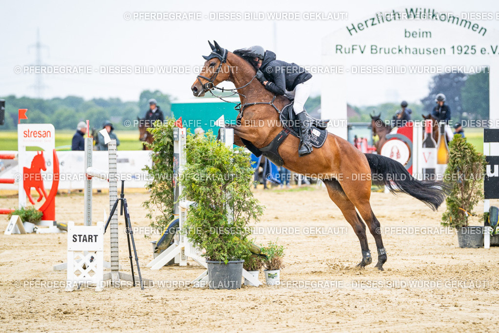 DSC08243 | Pferdegrafie