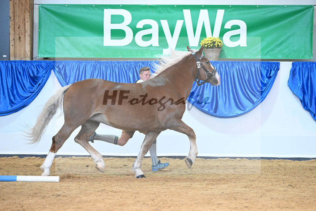 Kat-Nr. 73 Pueppi_Blindhammer_53220321 | hf-fotografie - Realisiert mit Pictrs.com