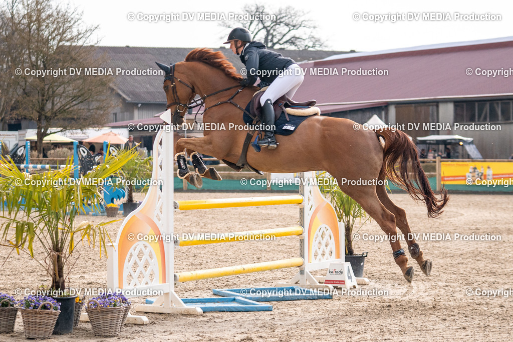 Kranichstein Tag 2-1619 | dv-media-shop - Realisiert mit Pictrs.com