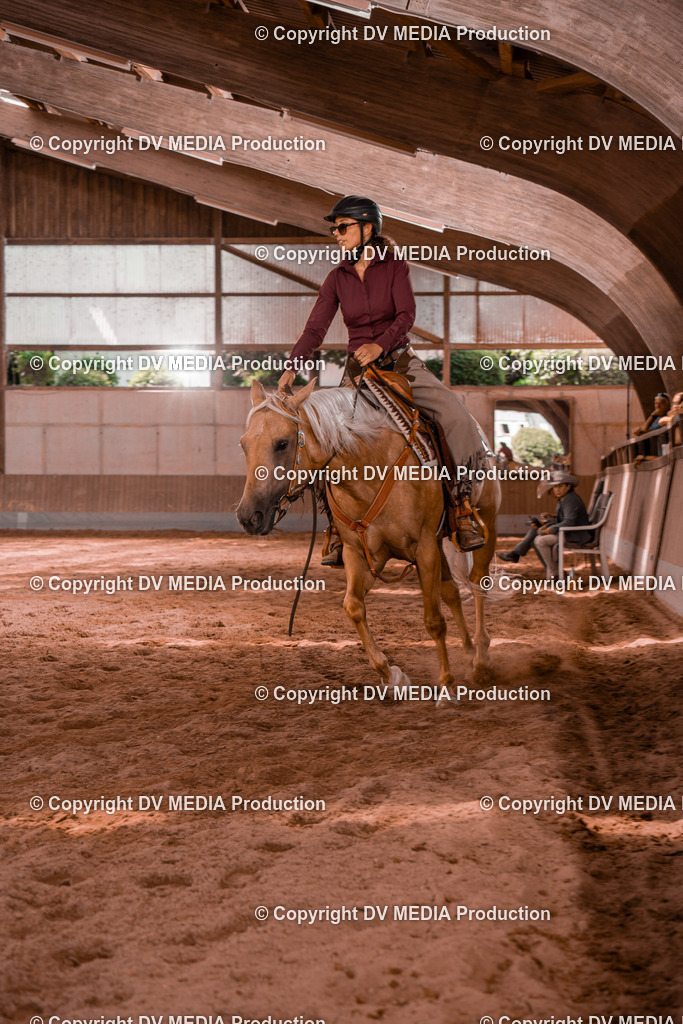 NE200564 | dv-media-shop - Realisiert mit Pictrs.com