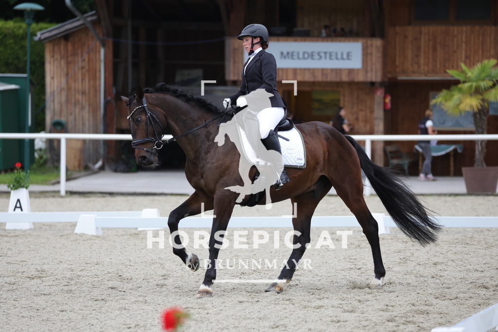 0P6A3268 | Willkommen bei Brunnmayr - Design & Fotografie – Ihrem Spezialisten für Reitturniere und Pferdeveranstaltungen in Oberösterreich, Salzburg und Bayern! Seit über 17 Jahren sind wir leidenschaftlich dabei.