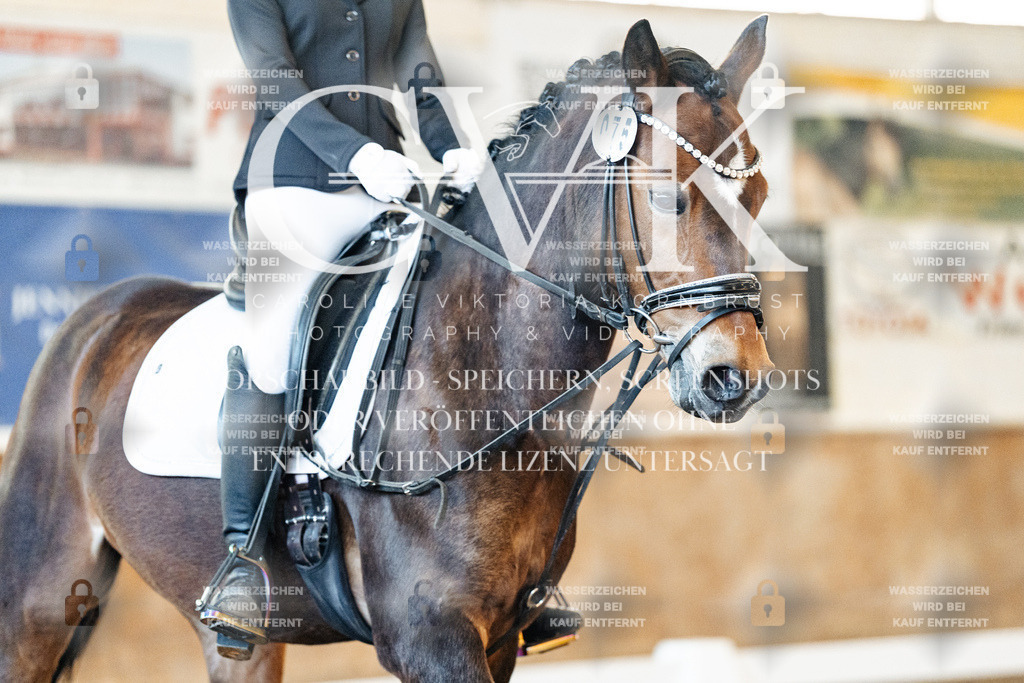 CK906650 | Turnierfotografie Pferdefotografie Trier Rheinland-Pfalz Pferdesport Reitsport Tierfotografie Sportfotografie Pferdevideo Pferdevideografie Equestrianvideography equestrianphotography  - Realisiert mit Pictrs.com