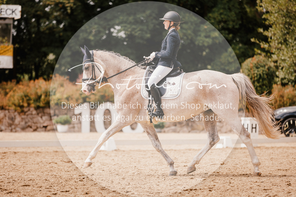 3I6A6143 | Stimmungsvolle Portraits und Reitsportfotografie im Ruhrgebiet und im Münsterland.

Pferdefotografie, Hundefotografie, Tierfotografie, Reportagen, Portraits von Tier und Mensch, Turnierfotografie in Bochum, Recklinghausen, Marl, Haltern am See, Dülmen.. - Realisiert mit Pictrs.com