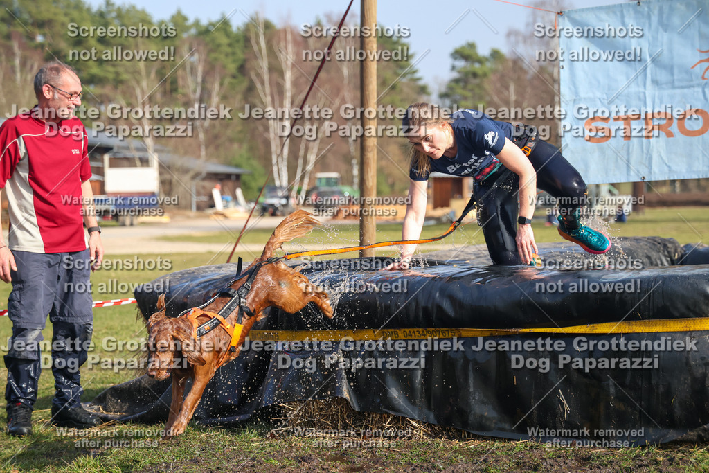 Dog Paparazzi - Strongdog North Mrz26-2401 | Dog Paparazzi Jeanette Grottendiek Fotografie & Videografie - Realisiert mit Pictrs.com
