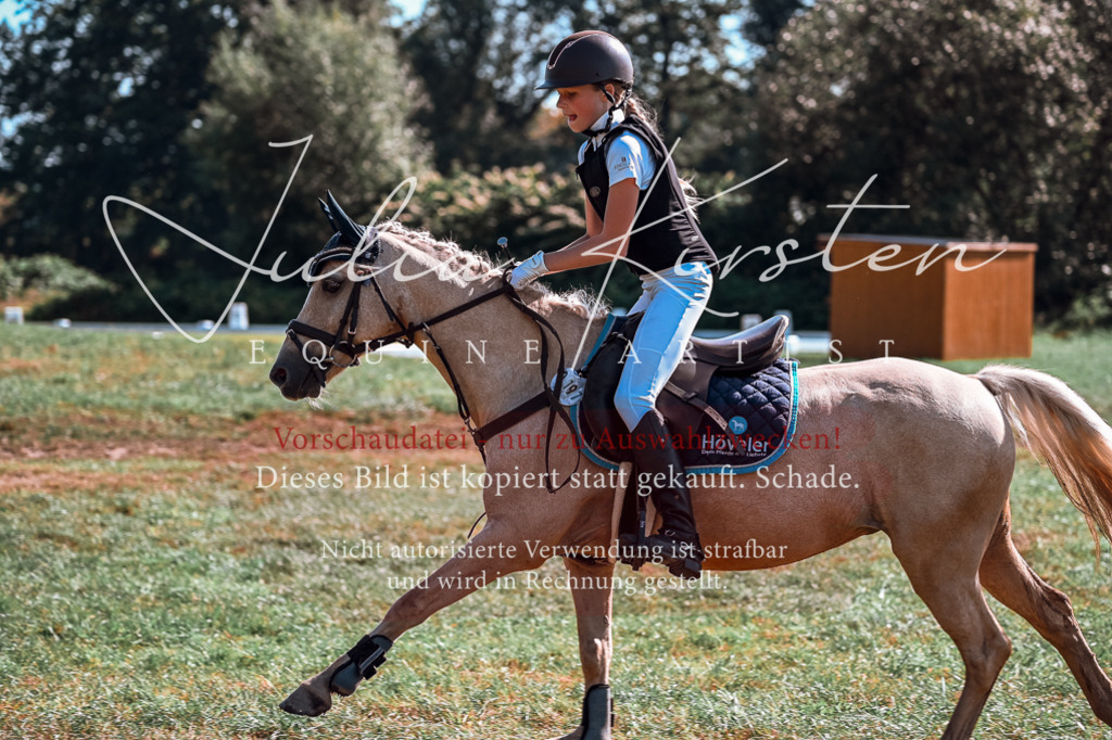 DSC_1055 | Pferde- und Turnierfotografie in Westsachsen. Pferdeportraits, Auftragszeichnungen und intuitive Kunst.