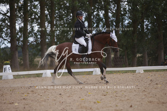 1J2A0961Charlotte Fehr_ Ikon 16_ Kn061_ Wöpkendorf_ Annalena Beier_ Quinn M_ Kn095 | Foto- und Videografie für alles rund ums Pferd. Hochwertige Bilder und Videos vom Spring- und Dressurreiten, Voltigieren & mehr. Jetzt aktuelle Veranstaltungen und Preise im Shop ansehen. - Realisiert mit Pictrs.com