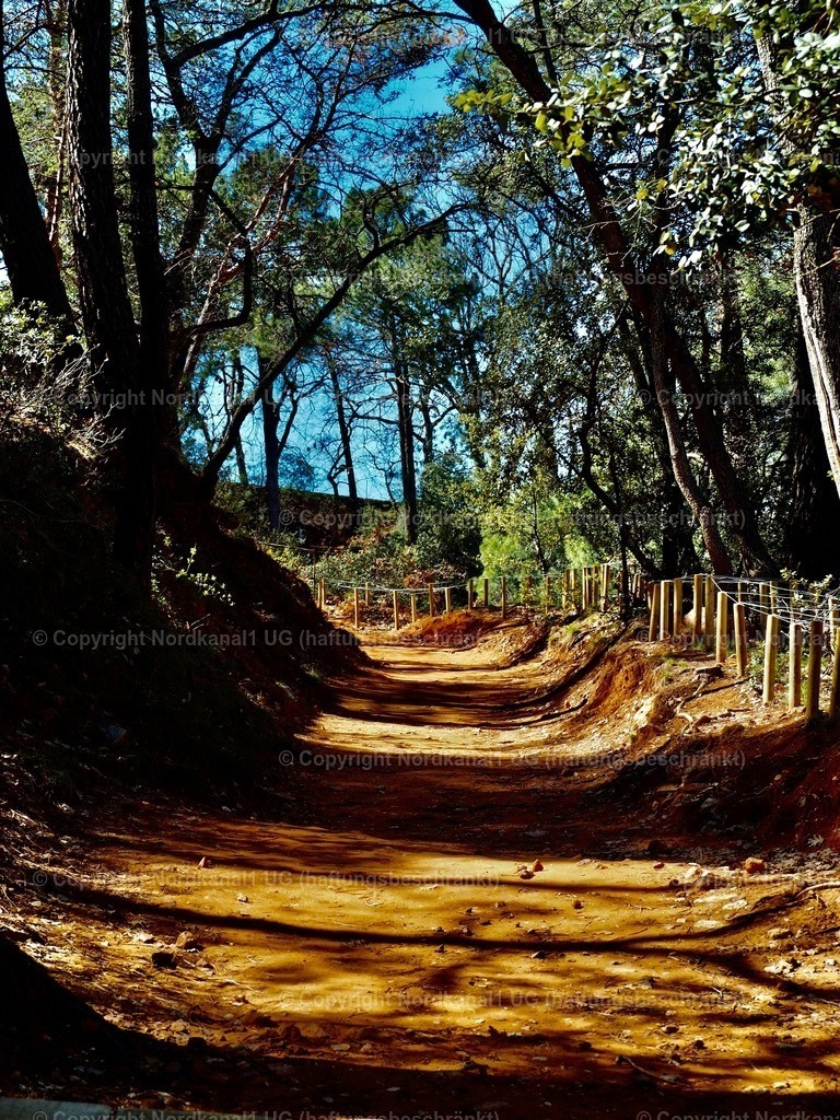 IMG_2966 | OLYMPUS DIGITAL CAMERA          - Realisiert mit Pictrs.com