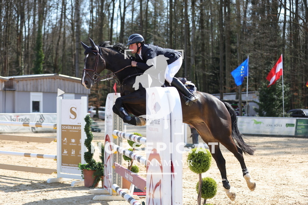 0P6A1543 | Willkommen bei Brunnmayr - Design & Fotografie – Ihrem Spezialisten für Reitturniere und Pferdeveranstaltungen in Oberösterreich, Salzburg und Bayern! Seit über 17 Jahren sind wir leidenschaftlich dabei.