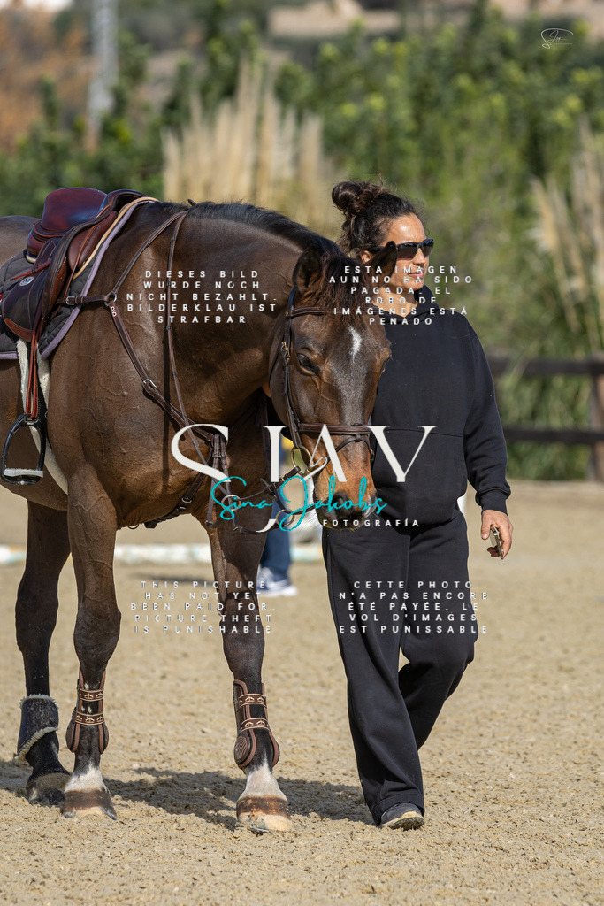 IMG_6861 | s-jay-photography - Realisiert mit Pictrs.com