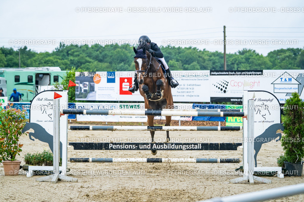 DSC00301 | Pferdegrafie