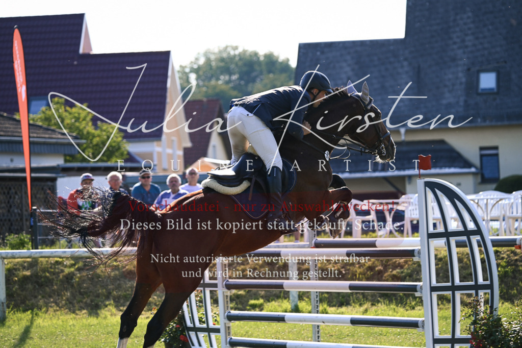 DSC_1624 | Pferde- und Turnierfotografie in Westsachsen. Pferdeportraits, Auftragszeichnungen und intuitive Kunst.