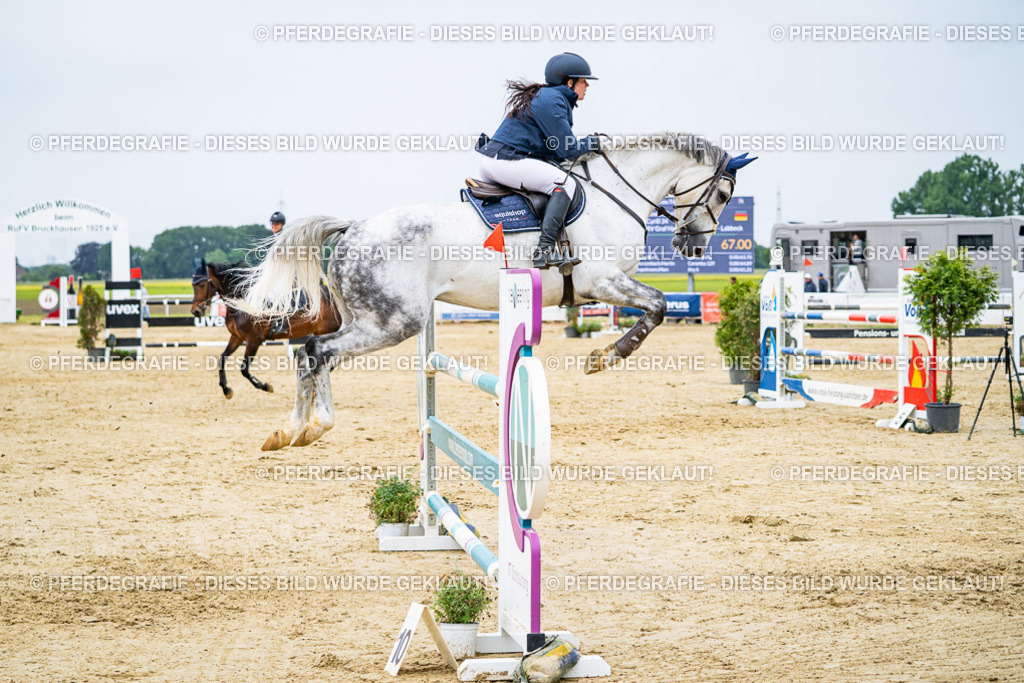 DSC07332 | Pferdegrafie