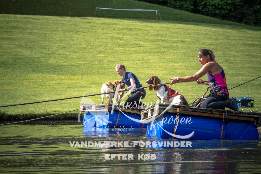 0831_ZZ99384 | kk-dogfotos