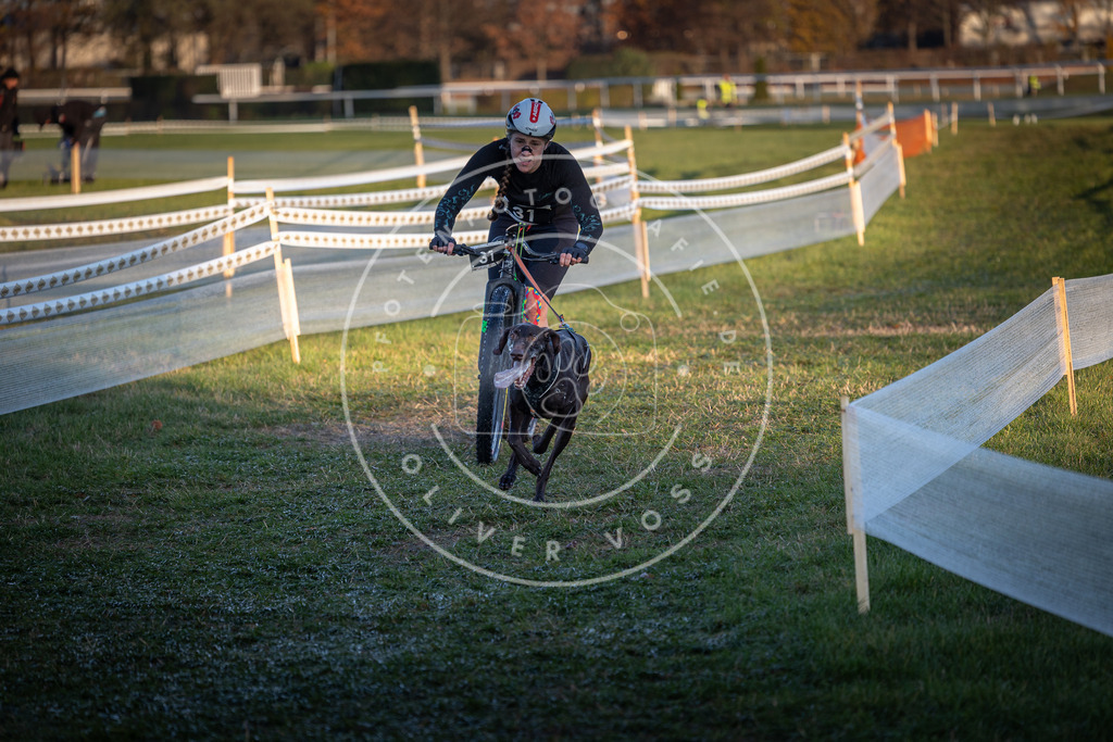 CaniXpix_0L8A2140 | Hundefotografie, Tierfotograf, Pfotenfotografie, Fotoshooting Hund, Hunde Portrait, Hundesport, Hundeportraits, Heideshooting, Hunde, Sportfotograf, Hundefotograf, Turnierhundsport, THS,  - Realisiert mit Pictrs.com