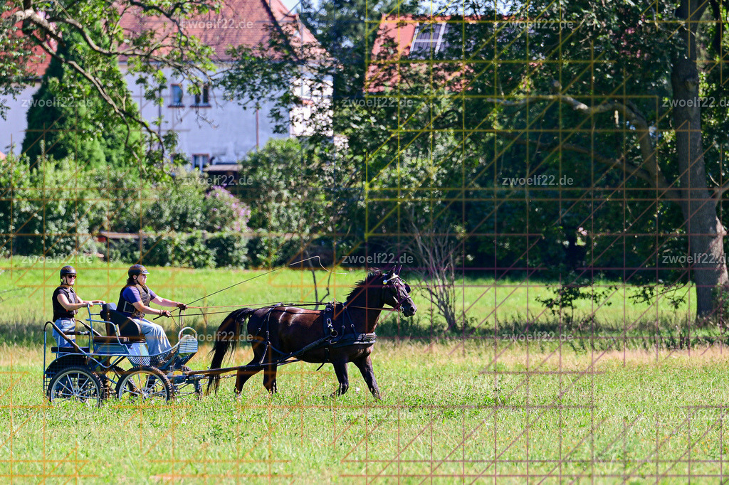 30 Jahre RFV Pulsnitz e.V., Pulsnitz am 09.08.2026 | 30Jahre Reit- und Fahrverein Pulsnitz e.V., Pulsnitz am 08.08.2026Zur 28. breitensportlichen Veranstaltung des RFV Pulsnitz e.V. fanden verschiedene Wettbewerbe in nahezu allen Disziplinen des Pferdesport statt.- Geländefahr-Wettbewerb - Realisiert mit Pictrs.com