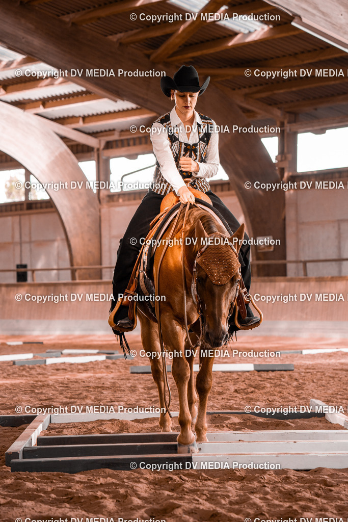 NE300184 | dv-media-shop - Realisiert mit Pictrs.com