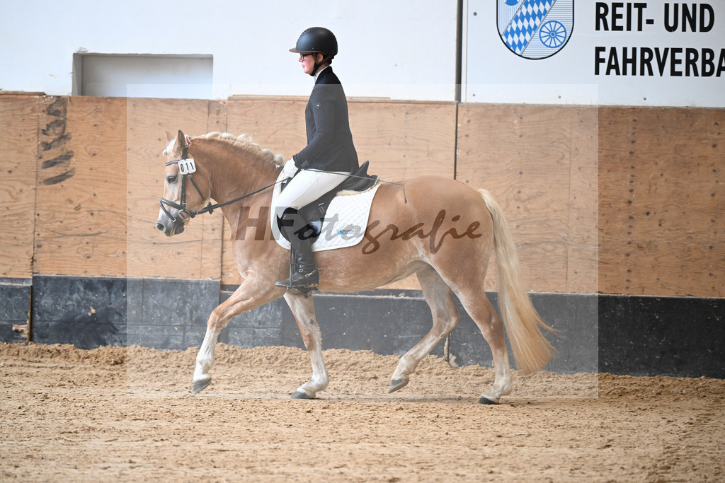 Kat-Nr. 11 Onatah v. Schampus_Demmler_50250074 | hf-fotografie - Realisiert mit Pictrs.com