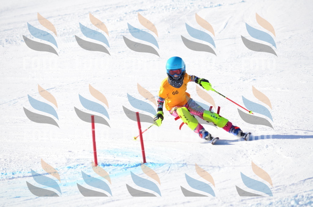 C5831 | holidayphoto