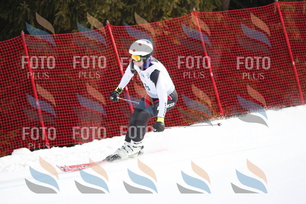 D5977 | holidayphoto