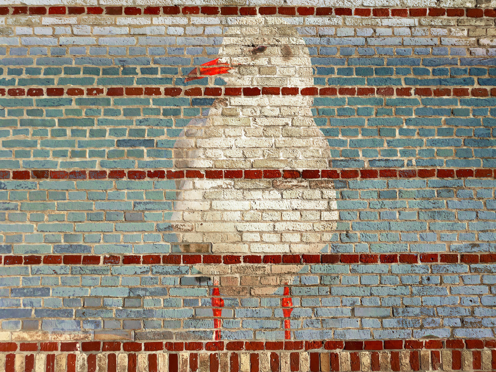 Photoart: Möwe auf einer Mauer | Dieses Wandbild im Querformat zeigt eine Möwe auf einer Mauer. Die Idee bei diesem Wandbild war es maritime Wallart für Ihre Wände zu schaffen.  - Realisiert mit Pictrs.com