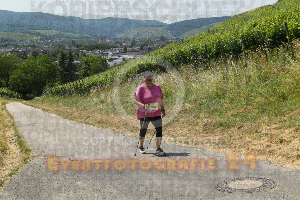 230617_1343_EV9_8421 | Sportfotografie im Rhein-Sieg Kreis, Köln, Bonn, NRW, Rheinland Pfalz, Hessen, etc. Unser Tätigkeitsfeld umfasst den Laufsport vom Volkslauf über den Marathon, Duathlon, Triathon bis zum Ultralauf wie Kölnpfad Ultra oder Schindertrail.