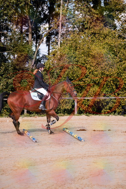 2026_10_03_Siefer-Hof_143437_Z81_02512328 | Professionelle Reitsport-, Turnier- und Eventfotografie von Robert Broda. Galerien mit ausgewählten und bearbeiteten Bildern direkt online ansehen und bestellen.