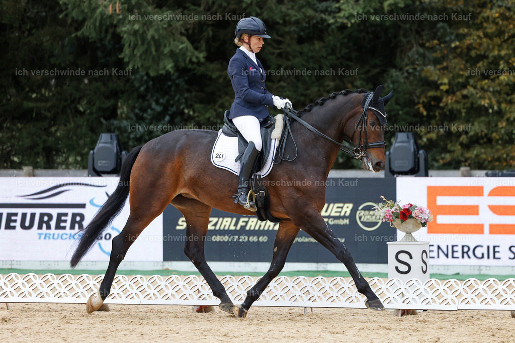 3-241-Dressur M_-StoibPH-2338 | working equitationturnier fotograf videograf stoibphotography marixx film working equitation deutschland reitsport turnierfotografie eventfotografie equestrian events