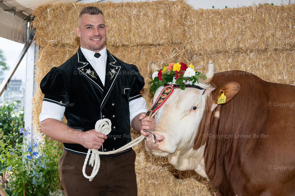 Schwingen -  Unspunnen 2023 | Interlaken, 27.8.23, Schwingen - Unspunnen.