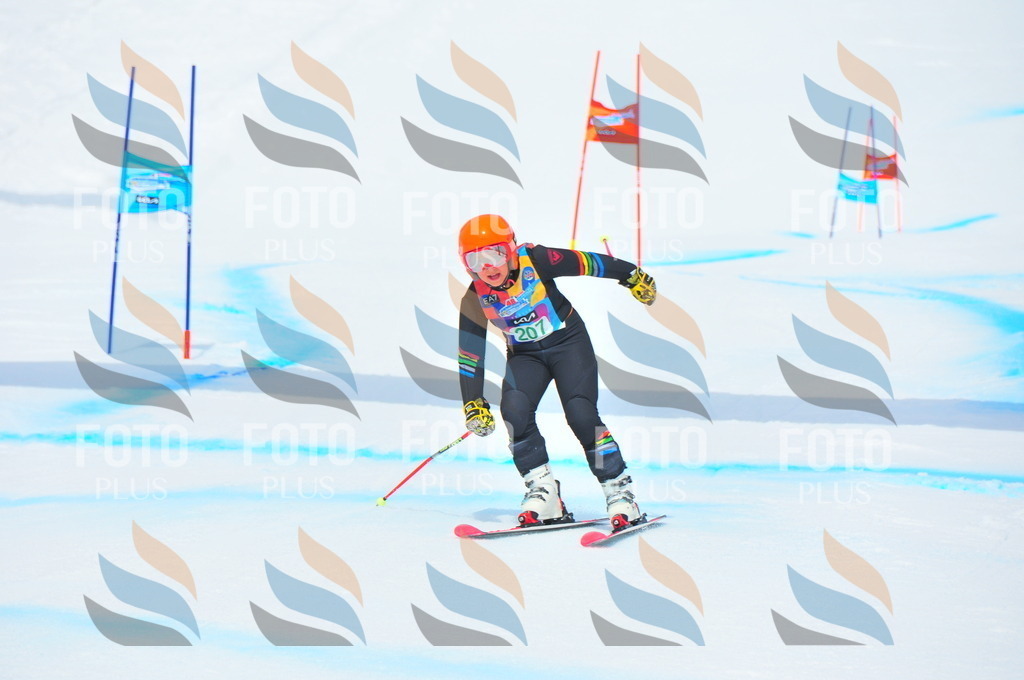 DSC_1896 | holidayphoto