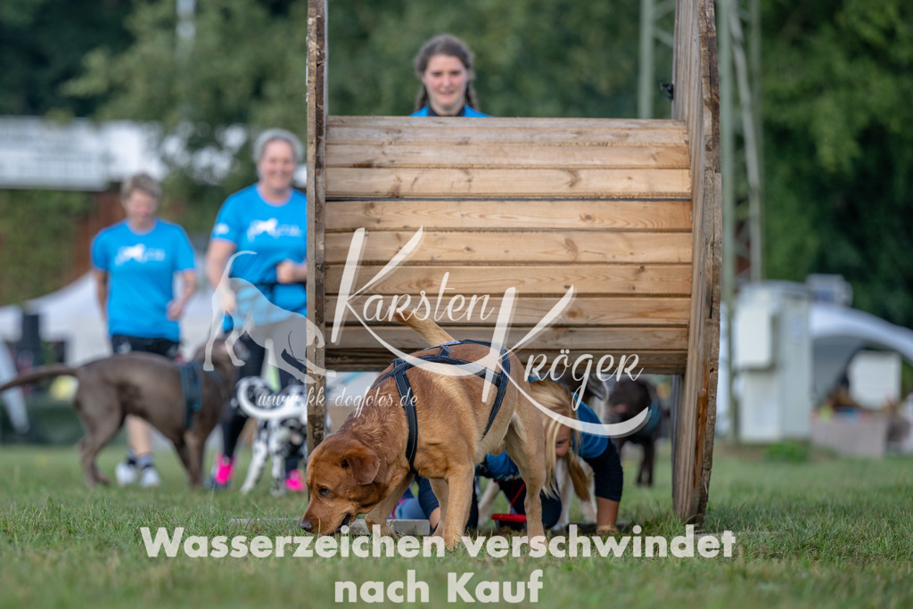 1013_ZZ91844 | kk-dogfotos
