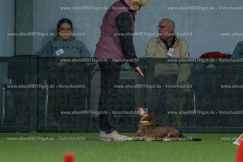 7R505855 | Professionelle Tierfotografie in Mönchengladbach von Daniel Wirth (allesWIRTHgut). Liebevolle & natürliche Bilder von Hunden & Katzen für unvergessliche Erinnerungen.