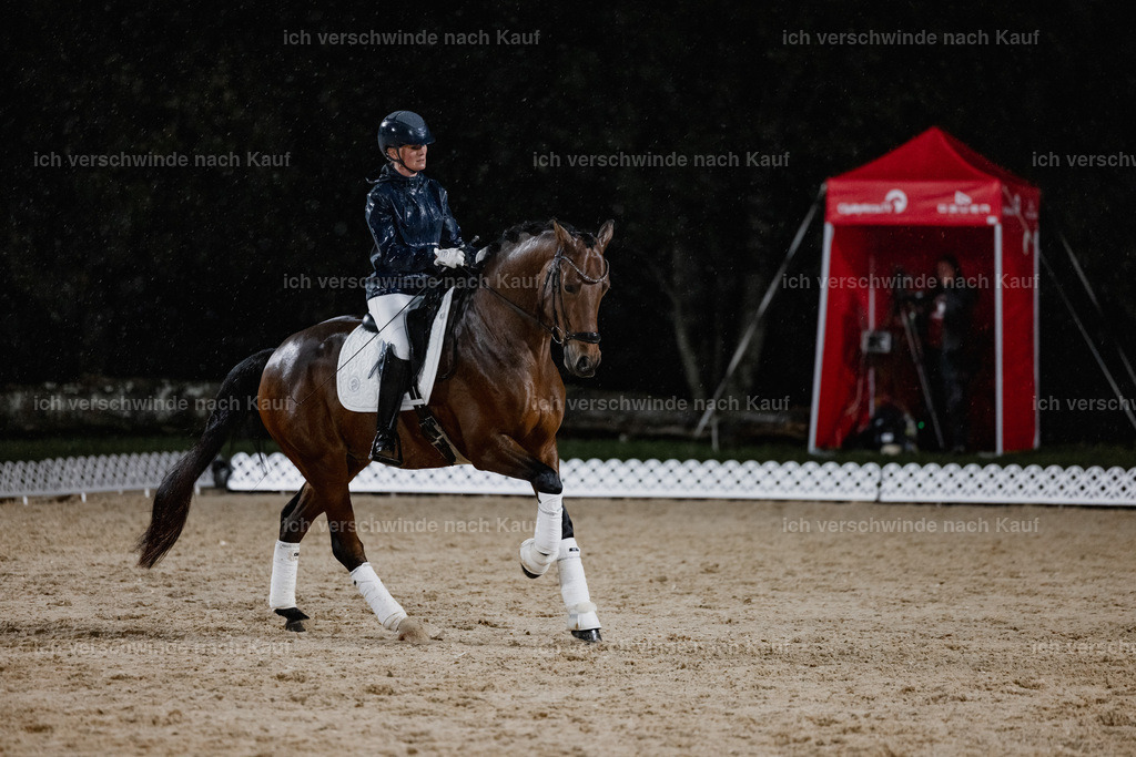 FHClassics-83 | working equitationturnier fotograf videograf stoibphotography marixx film working equitation deutschland reitsport turnierfotografie eventfotografie equestrian events