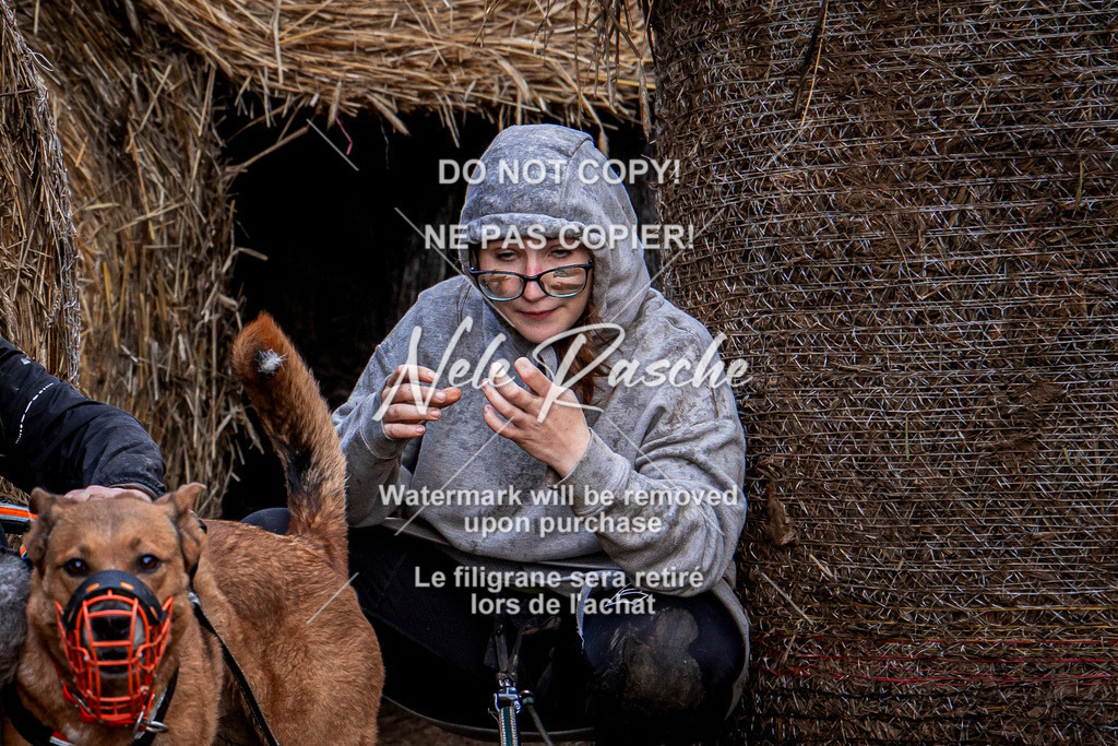 nelerasche_Hunsrück_So09-11_309 | nelerasche