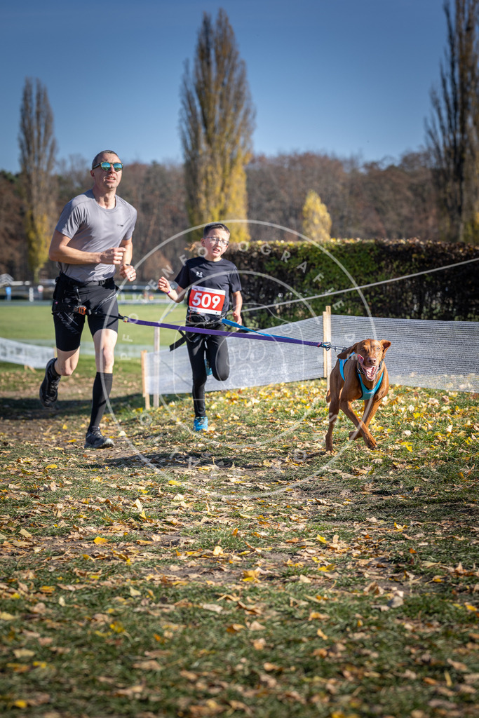 CaniXpix_DV3A7926 | Hundefotografie, Tierfotograf, Pfotenfotografie, Fotoshooting Hund, Hunde Portrait, Hundesport, Hundeportraits, Heideshooting, Hunde, Sportfotograf, Hundefotograf, Turnierhundsport, THS,  - Realisiert mit Pictrs.com