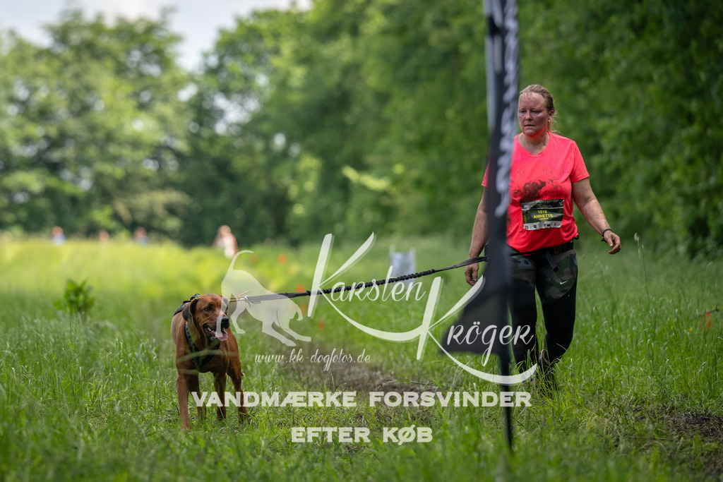1322_ZZ90999 | kk-dogfotos