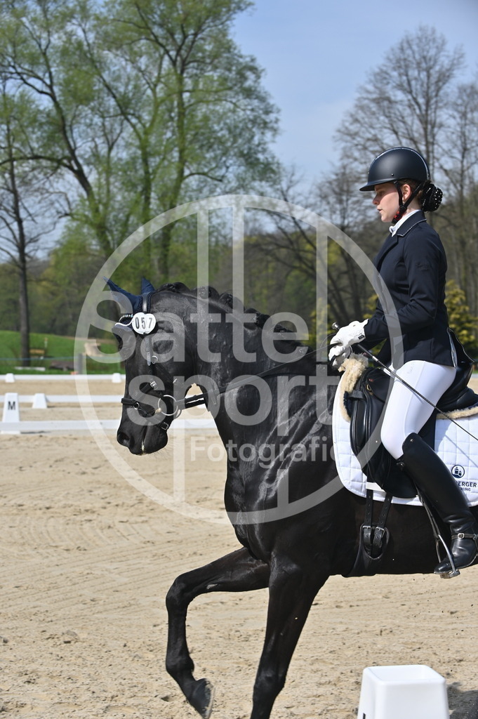 DSC_1082 | sattelsport - Realisiert mit Pictrs.com