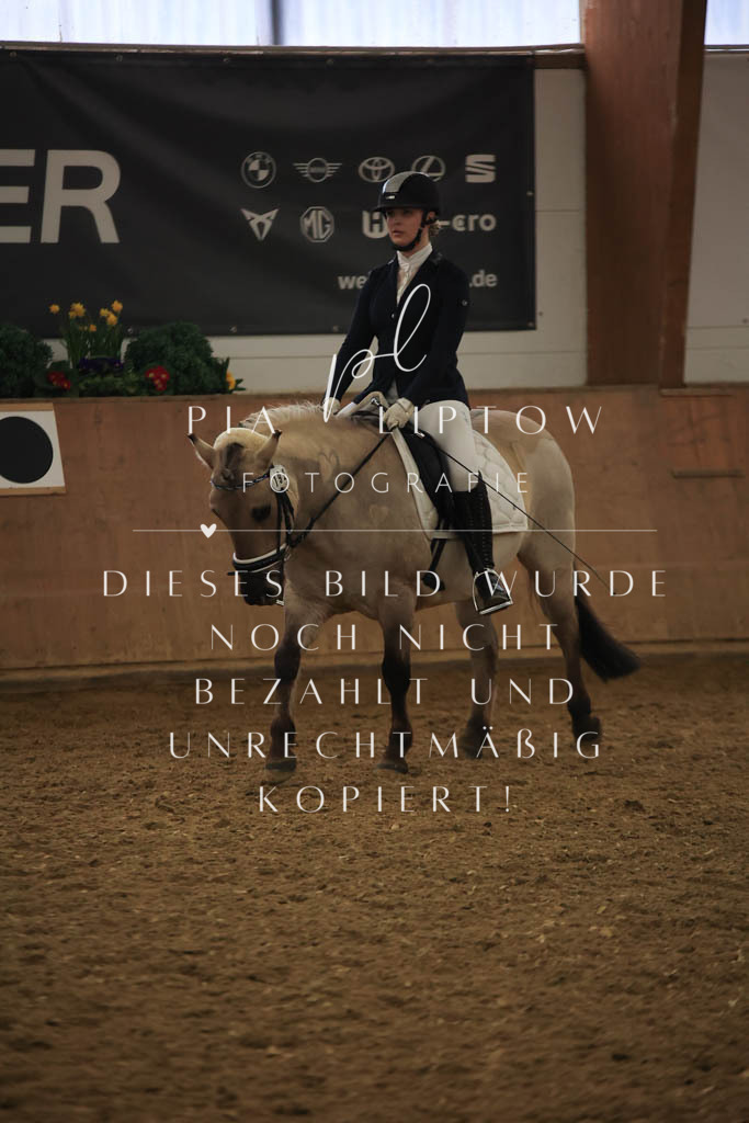 IMGT1163 | pl-fotografie